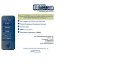 Desktop Screenshot of brmg.com